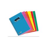 Kareli 150 Yaprak Spiralli Defter A4 Boy Plastik Kapak (1 Adet )