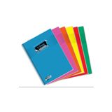 Kareli 250 Yaprak Spiralli Defter A4 Boy Plastik Kapak (1 Adet )