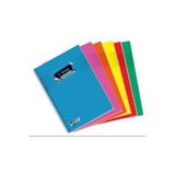 Kareli 350 Yaprak Spiralli Defter A4 Boy Plastik Kapak (1 Adet )