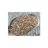 Kargı Yöresel Ürün Pazarı Yemlik Buğday-10 Kg (Tavuk Ve Güvercin Vb.Kanatlı Yemi)