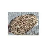 Kargı Yöresel Ürün Pazarı Yemlik Buğday-25 Kg (Tavuk,Güvercin Vb Kanatlı Yemi)