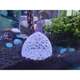 Karides Akvaryumu İçin Gözenekli Beyaz Saklanma Mağarası