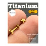 Karınca Piercing %100 Titanyum Piercing Deniz Yıldızı Forward Helix Kulak Labret Burun Flat Conch Tragus Piercing