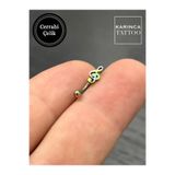 Karınca Piercing Gökkuşağı Renkli Müzik Nota Sol Anahtarı Kaş Kulak Helix Piercing