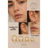 Karınca Piercing Gold Altın Rengi Halka Piercing Tragus Rook Helix Smiley Septum Burun Dudak Nipple Cerrahi Çelik Kulak Piercing