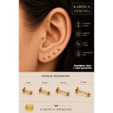 Karınca Piercing Gold Altın Rengi Piercing Labret Tragus Forward Helix Dudak Burun Conch Flatback Stud Cerrahi Çelik Piercing Küpe