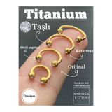 Karınca Piercing Halka Taşlı Titanyum Piercing Tragus Helix Rook Daith Conch Smiley Nipple Dudak Septum Nostril Burun