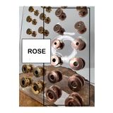 Karınca Piercing Rose Veya Gold Altın Rengi Çelik Kulak Tünel Piercing (karınca Tattoo)