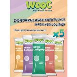 Karışık Kedi Ödülü Lolipop 1.4 Gr