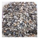 Karışık MİNİK Kiloluk Deniz Kabuğu (Şişe İçi İçin) 500 GR