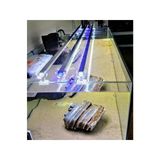 Karışık Renkli 50 Cm Akvaryum Led Aydınlatması