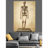 Karizmart İnsan İskeleti Anatomik Çizim Dekoratif Kanvas - Mdf Ahşap Tablo