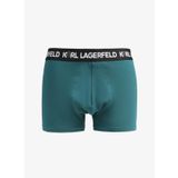 KARL LAGERFELD Yeşil Erkek Boxer 236M2100652