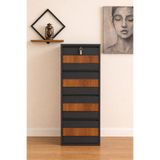 KARLI 4 LÜ KİLİTLİ AHŞAP DESENLİ METAL AYAKKABILIK