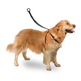 Karlie Large 40x58 cm Easy Walker Köpek Göğüs Tasması