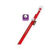 Karlie Xs Taşlı Kırmızı 30 cm 11 mm Deri Kedi Boyun Tasması