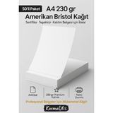 KarmaOfis A4 50 Adet Amerikan Bristol Kağıdı
