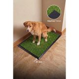 KARMAT KÖPEK TUVALET PASPASI, HİJYEN HAVUZLU+ÇİM HALILI TUVALET PASPASI, 45*70