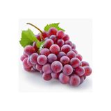 Karmen Crimson Seedles Çekirdeksiz Üzüm Fidanı Tüplü