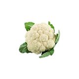 Karnabahar Igloo Tohumu Paket 035 Gram