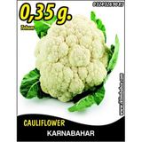 Karnabahar Tohumu Igloo 0,35 g (~ Takribi 60 Tohum)