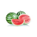 Karpuz Crimson Sweet Ala Karpuz Tohumu Paket 10 Gram