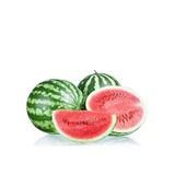 Karpuz Crimson Sweet Ala Karpuz Tohumu Paket 25 Gram