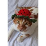Karpuz Kırmızı Bucket Kedi Köpek Şapkası Meyve Temalı Yaz Pet Aksesuarları Kostümleri