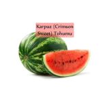 Karpuz Tohumu 1 Paket Crimson Sweet Karpuz Tohumu Ekmeye Uygun Verimi Yüksek Paket Tohum