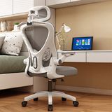 Karr Office Oslo Ergonomik Çalışma Sandalyesi - Gri