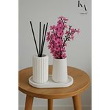 Karra Art Beton Dekoratif Bambu Oda Kokusu Ve Vazo 3 Set