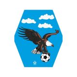 Kartal Desenli Altıgen Uçurtma + 50Mt Ipli