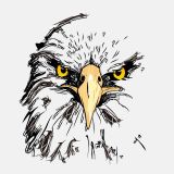 Kartal göz keskin gözlem araba Sticker 17CM