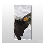 Kartal Kanvas Tablo 40x60cm
