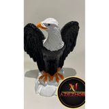 Kartal Obje Biblo azezjjg71638