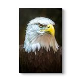 Kartal Tablosu 100 x 140