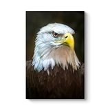 Kartal Tablosu 40 x 60