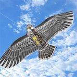 Kartal Uçurtma Kartal Kuş Desenli Uçurtma