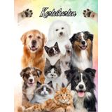Karteikarten Buch Katzensalon Hundesalon Karteikartenbuch Mobiler Tierfriseur Tiersalon Hundefriseur Katzenfriseur Hunde Katzen Friseur für Kleintiere ... notieren dokumentieren der Kundendaten 04D12
