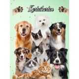 Karteikarten Buch Katzensalon Hundesalon Karteikartenbuch Mobiler Tierfriseur Tiersalon Hundefriseur Katzenfriseur Hunde Katzen Friseur für Kleintiere ... notieren dokumentieren der Kundendaten 04D13
