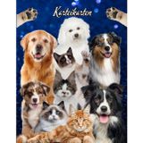Karteikarten Buch Katzensalon Hundesalon Karteikartenbuch Mobiler Tierfriseur Tiersalon Hundefriseur Katzenfriseur Hunde Katzen Friseur für Kleintiere ... notieren dokumentieren der Kundendaten 04D22