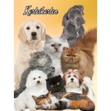 Karteikartenbuch Katzensalon Hundesalon Karteikarten Buch Tiersalon Hundefriseur Mobiler Tierfriseur Katzenfriseur Hunde Katzen Friseur für Kleintiere ... notieren dokumentieren der Kundendaten 05E02