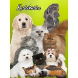 Karteikartenbuch Katzensalon Hundesalon Karteikarten Buch Tiersalon Hundefriseur Mobiler Tierfriseur Katzenfriseur Hunde Katzen Friseur für Kleintiere ... notieren dokumentieren der Kundendaten 05E03