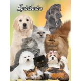 Karteikartenbuch Katzensalon Hundesalon Karteikarten Buch Tiersalon Hundefriseur Mobiler Tierfriseur Katzenfriseur Hunde Katzen Friseur für Kleintiere ... notieren dokumentieren der Kundendaten 05E06