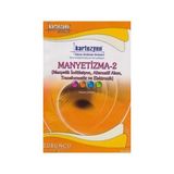 Kartezyen Turuncu Manyetizma 2 - Erhan Odak