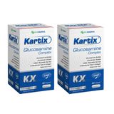 Kartix Glucosamine Complex 2x90 Kapsül