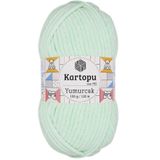 Kartopu K.artopu Yumurcak Kadife El Örgü Ipi Su Yeşili K560