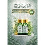 KARUM Okaliptus & Nane %100 Saf Uçucu Yağ 2'li Set Doğal Aromaterapi Yağı 2x10 ml
