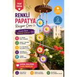 KARYA AURA Renkli papatya rüzgar çanı