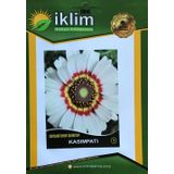 KASIMPATI ÇİÇEĞİ TOHUMU-1 BEYAZ TAKRİBİ 20 ADET TOHUM